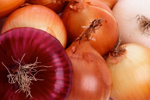 Background of Various Color Onions close up
