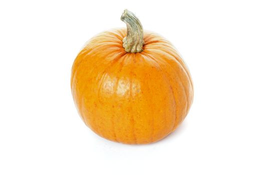 Perfect Ripe Pumpkin isolated on white background