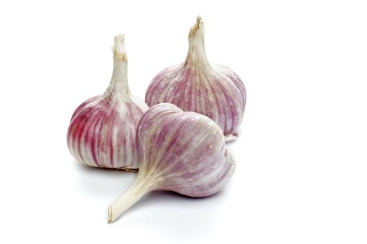 Three Fresh Garlic isolated on white background