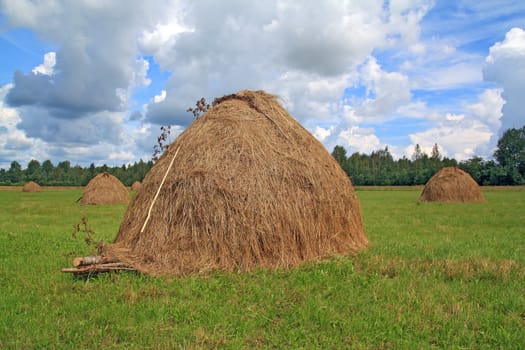 stack hay on summer field