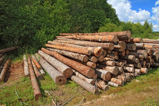 timber in a field near the forest