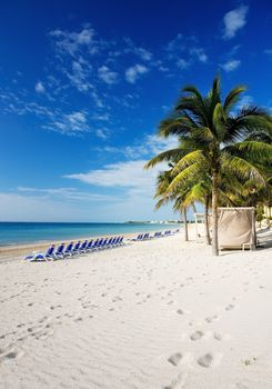 bright picture of beautiful caribbean tropical resort