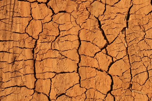 Cracked Ground