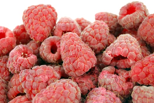 Fresh raspberry close detail on white