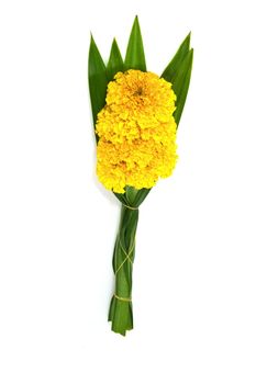 Marigold and pandan  for worship on white background