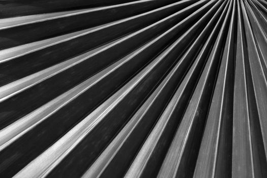 Abstract palm tree leaf