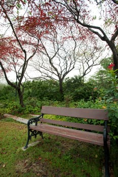 Bench in park with red flower tree