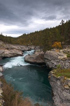 Mountain river flowing among the rocks in forest.