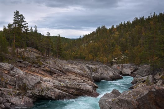 Mountain stream among rocks. Landscape wildlife.