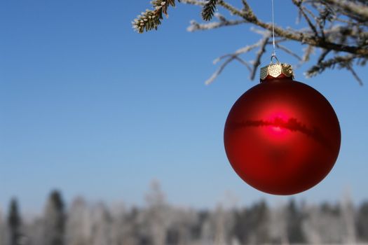 a red bauble in snowy winter landscape