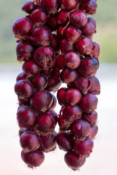 Red onions hanging in the market. Fresh produce next to highway in Bursa Turkey.
