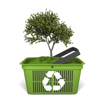 Recycling concept with small tree growing in green shopping basket with recycling logo
