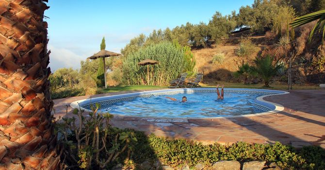 Tropical Scene with swimming pool and nice palm