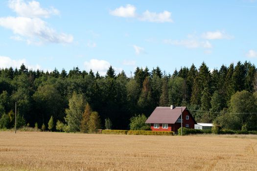 The modern house on a background of trees