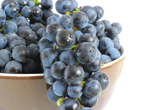 wet red grapes in brown bowl