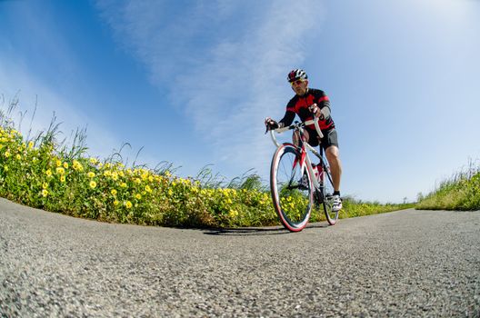 Man on road bike riding down open country road.