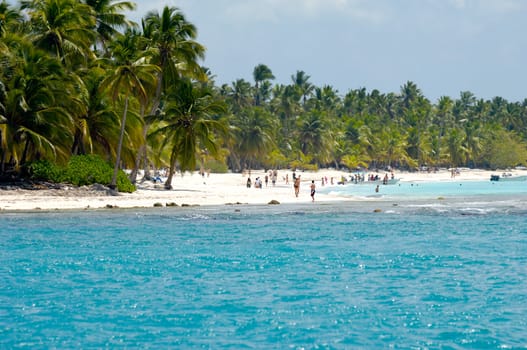 Caribbean island with a nice beach and green palms. The picture of the beach is taken from a boat on sea.