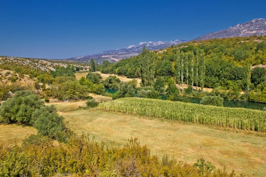 Green landscape of Zrmanja river valley under Velebit mountain, Dalmatia, Croatia