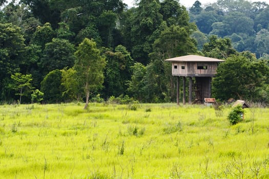 Animal view tower at Kaoyai National Park, Thailand. 