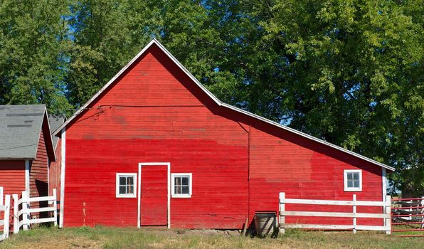 Red barn with a single door and three small windows sits on a farm in rural Wisconsin