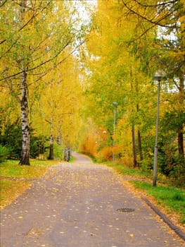 Alley dressed in autumn colors, at day time