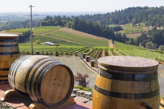 Wine Barrels with Winery Vineyard in Background