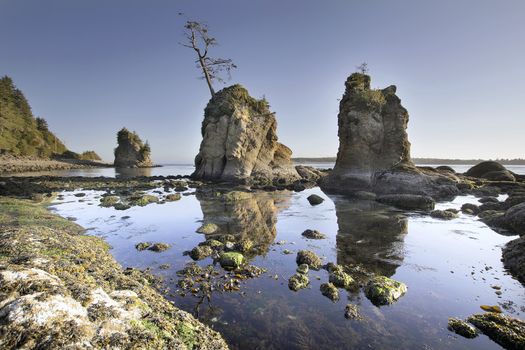 Pig and Sows Inlet in Garibaldi Oregon Coast Tillamook Bay at Low Tide