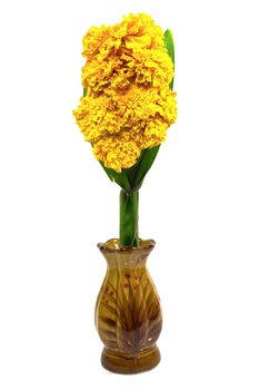 Marigold and pandan in brown vase for worship on white background