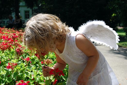 Little white angel with flower