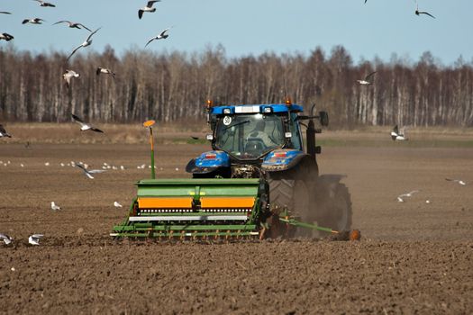 tractor at work on a field and wild birds flying around