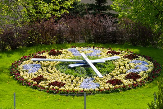Colorful flower clock in the city Ventspils