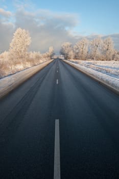 Winter road in very cold winter morning with frosty tree