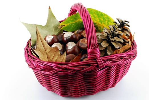 Basket full with chestnut leaves and pine-cone fall scene