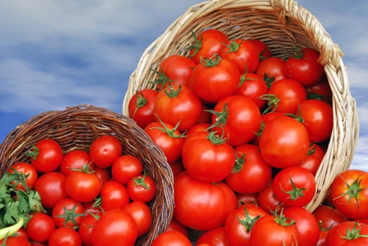 Wooden basket with fresh tomatoes