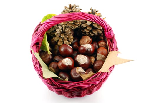 Basket with chestnut leaves and pine-cone autumn scene