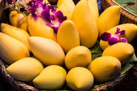 Thai mangoes in basket decorated with orchids at market.