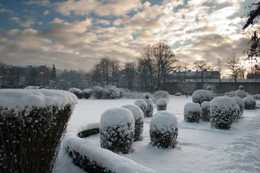 Winter park covered with snow in sunny day