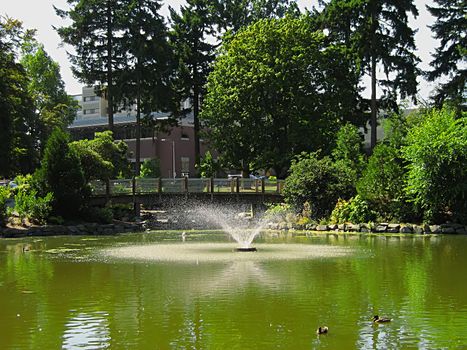 A photograph of a fountain and a bridge located in a public park.