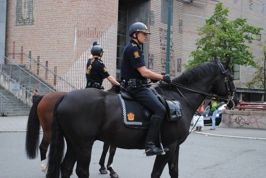 A couple of police horses in central oslo, Norway.