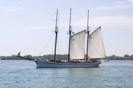 Tree masts sail ship on Ontario lake