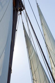 Big sail on blue sky background