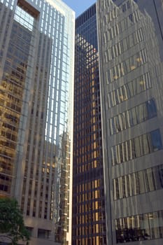 glass wall of a high-rise building in downtown Toronto