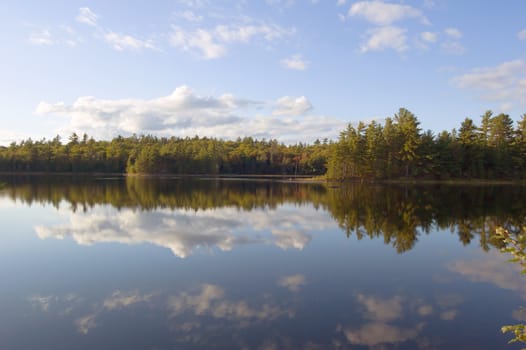 forest lake in Killarney Park in the morning