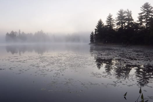 Fog above forest lake in Killarney Park in the morning