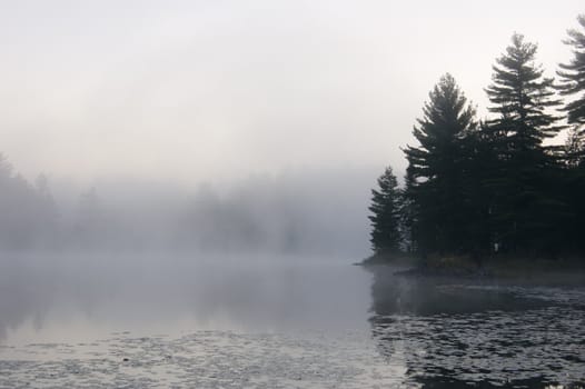 Fog above forest lake in Killarney Park in the morning