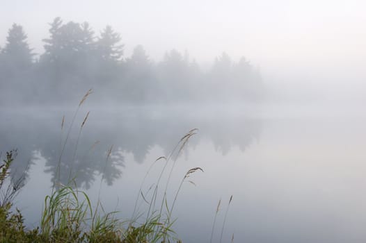 Fog above forest lake in Killarney Park in the morning