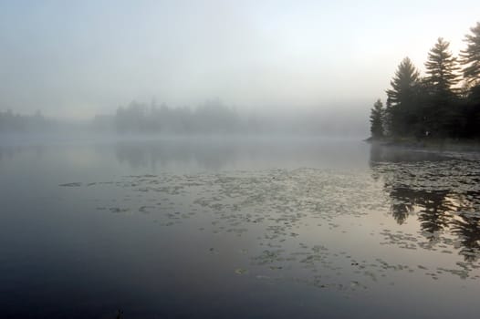 Fog above forest lake in Killarney Park in the morning