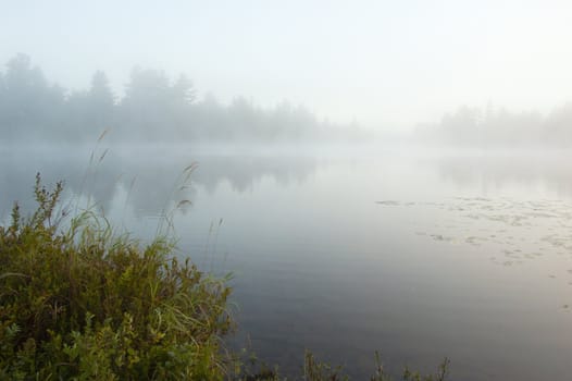 Fog above forest lake in Killarney Park in the morning