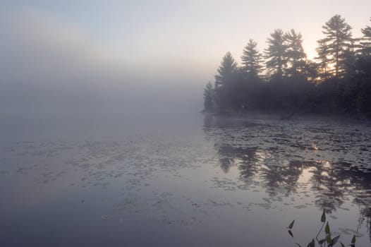 Fog above forest lake in Killarney Park in the morning