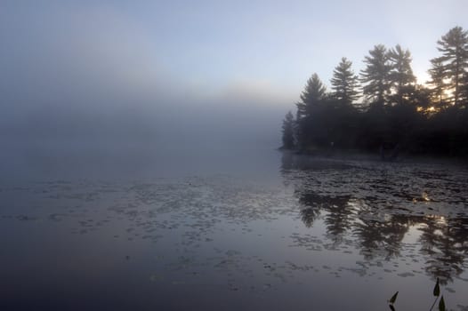 Fog above forest lake in Killarney Park in the morning